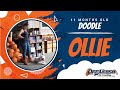 11 month old doodle Ollie| Best dog trainers VA| E-collar training| Obedience training 11 month old doodle Ollie| Best dog trainers VA| E-collar training| Obedience training