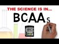 BCAA CONFUSION : WHAT DO BCAA s DO?