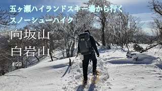 向坂山・白岩山/九州脊梁/五ヶ瀬ハイランドスキー場から行くスノーシューハイク