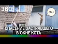 Смелый сосед спас кота, застрявшего в окне на третьем этаже в Лениногорске