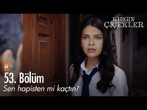 Sen hapisten mi kaçtın? - Kırgın Çiçekler 53. Bölüm - atv