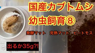 Comparison] Breeding Japanese Rhinoceros Beetle Larvae Part 8