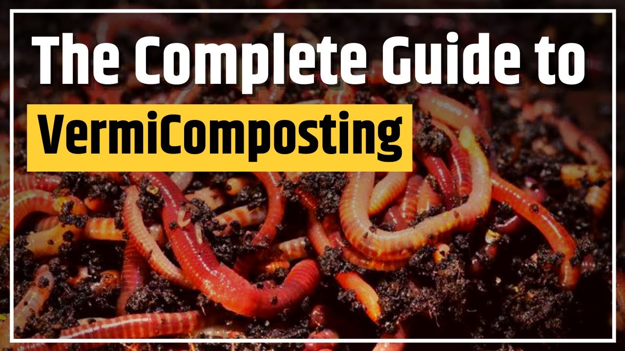 Complete Guide To Start Start Business Of Vermi Composting Green Gyan YouTube
