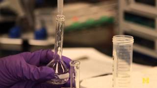 Turning algae into fuel Profile