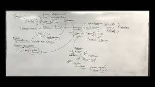 Chris Cutrone lecture on Benjamin on Baudelaire part 3