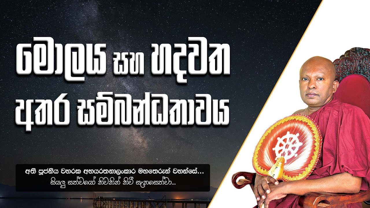 මොලය සහ හදවත අතර සම්බන්ධතාවය