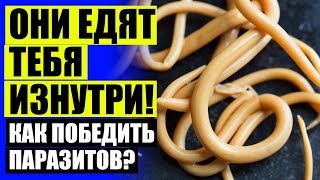 Противоглистные препараты в германии 🔥 Лямблии народное лечение