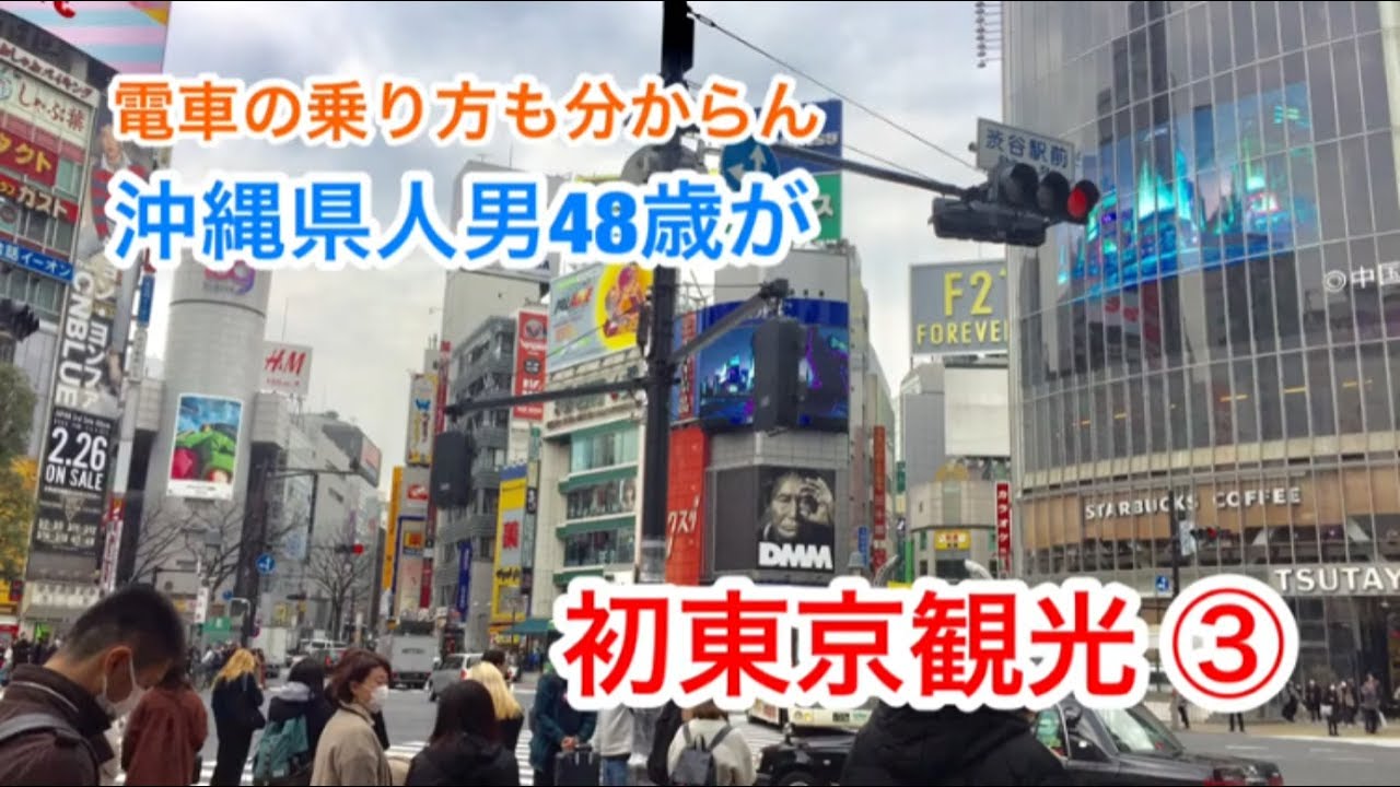電車の乗り方も分からん沖縄県人男が 初東京観光 Youtube