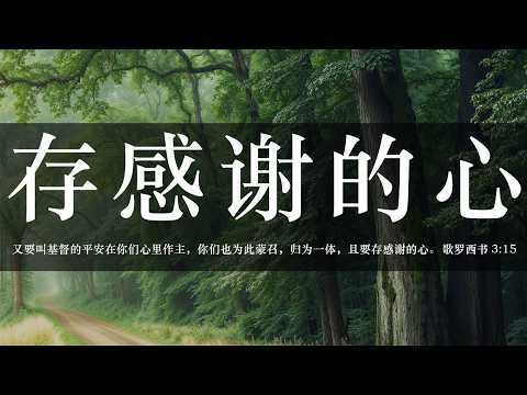 【睡前祷告】存感谢的心20260507-主啊你亲自呼召我们进入你的平安，这是何等感谢的事。求你让我们的心不要被环境捆绑，将忧虑全然交托，安息在你全然的主权之下。