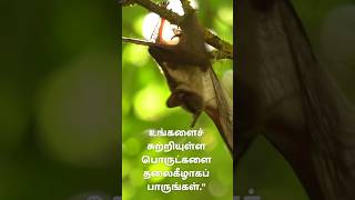 தலைகீழாகப் பாருங்கள் #MindfulnessTamil #BrainTraining #TamilEducation