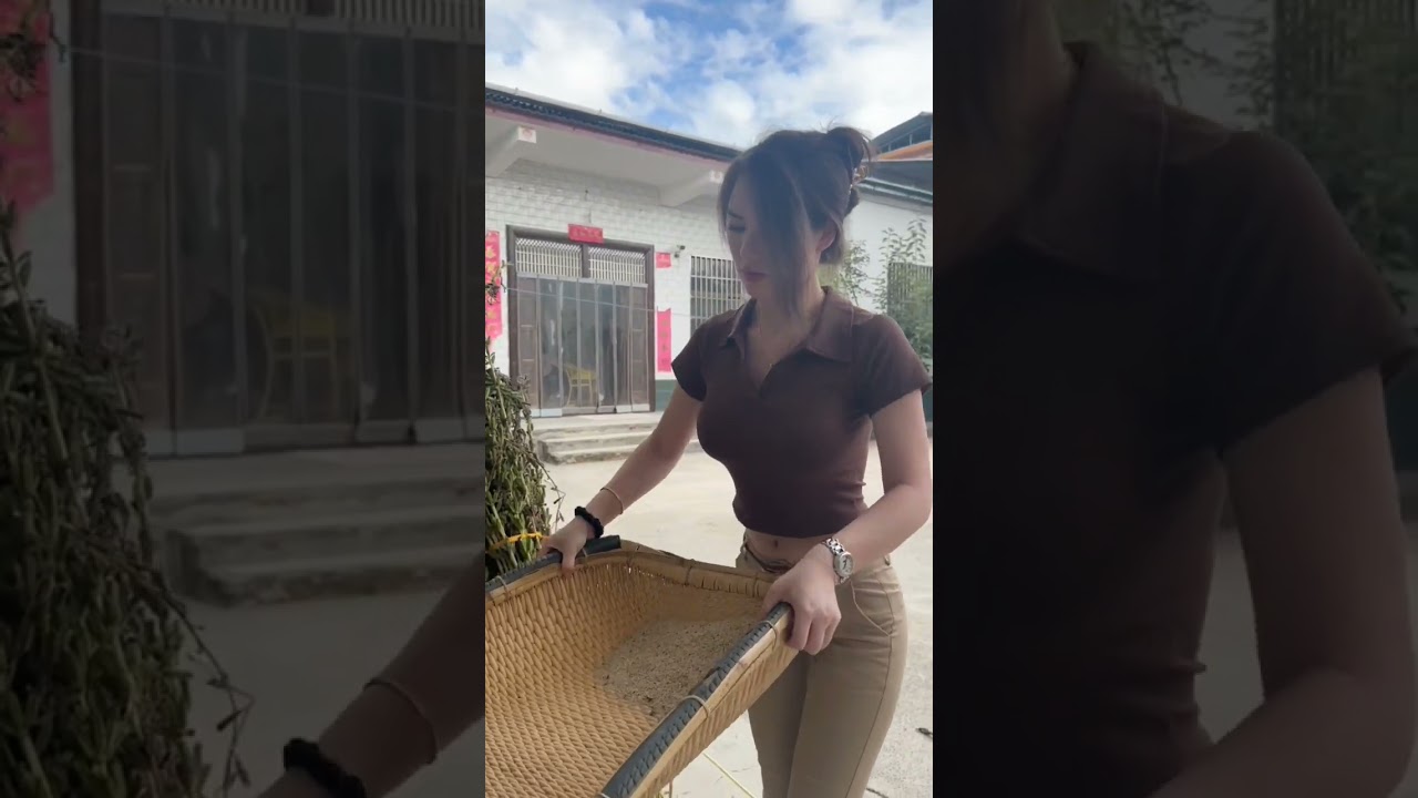 Screening to get clean sesame seeds