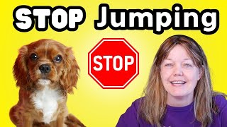 How to Teach Your Dog to Stop Jumping on People: Force-Free Dog Training Tips