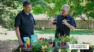 Build the Perfect Combo Planter for Summer Color | Johnson's Garden Center - Wichita