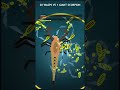 20 Wasps Attacked a Giant Scorpion #battle #simulation #wasp #scorpion
