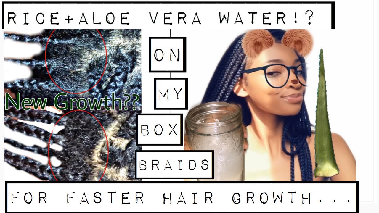 RICE &ALOE VERA!? RICE WATER CHALLENGE ROUTINE WITH BOX BRAIDS