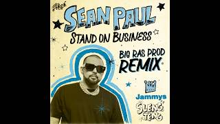 Sean Paul - Stand On Business Remix