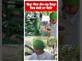 Sangrur News | 'ਉਨ੍ਹਾਂ ਚਿਰ ਕੰਮ ਕਰੁ ਜਿਨ੍ਹਾਂ ਚਿਰ ਮੇਰੀ ਮਾਂ ਬੈਠੀ' | Abp Sanjha | Shorts