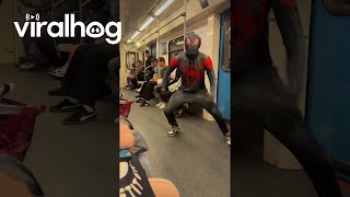 Spider-Man In The Subway Viralhog