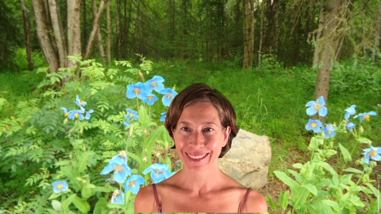 Cancer June 2015 Horoscope Forecast