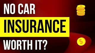Why Not Having Car Insurance Is a Bad Idea — Top 10 Wizard by Top 10 Wizard 151 views 2 years ago 2 minutes, 19 seconds