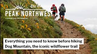 Everything you need to know before hiking Dog Mountain