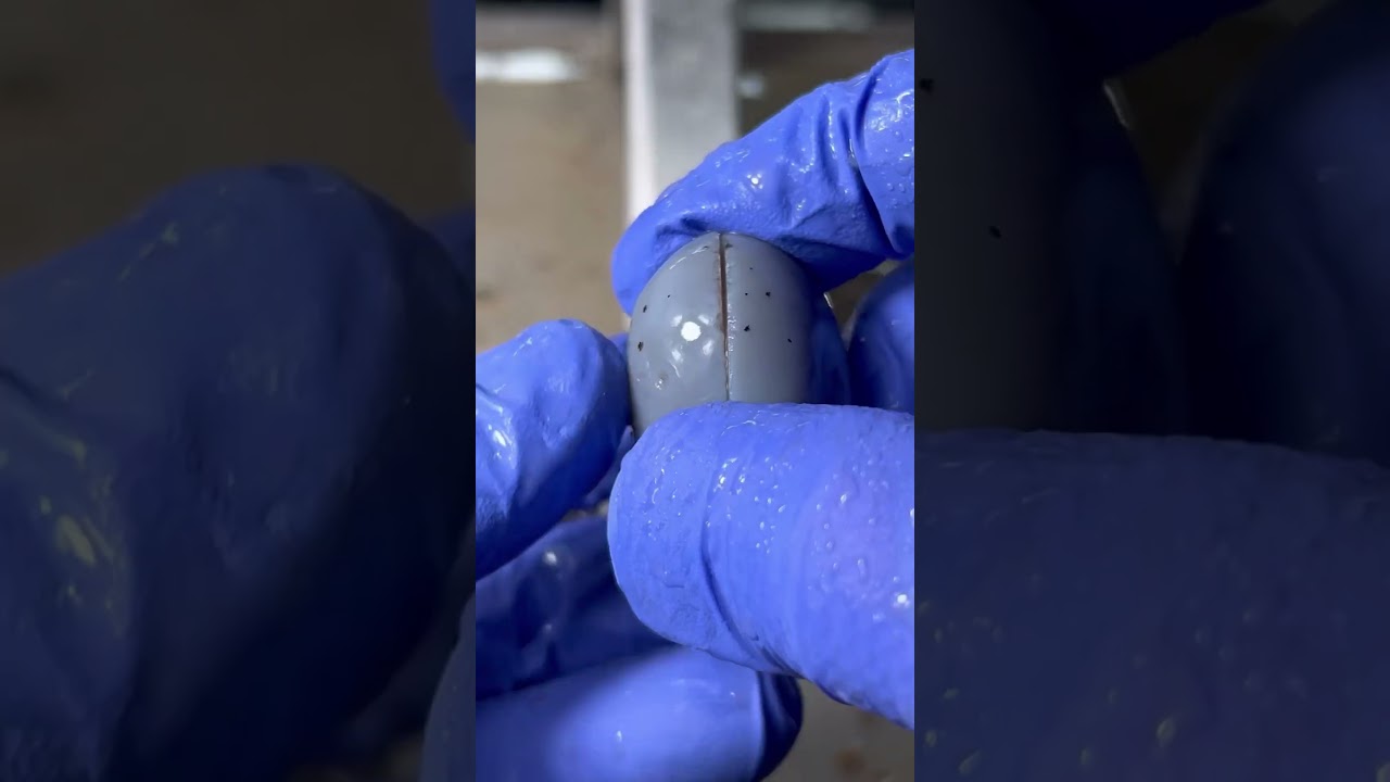 Cutting a pre-polished agate nodule! 