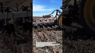 Mega Strip-Till Beast in Action 🚜🌽 #Farming #Tractor #AgTech