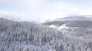 BTV 1 Christmas Special
