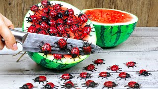 SHOCKED Making Breakfast Beetle from Exotic Watermelon - ASMR Stop Motion Cooking