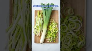 Pokémon Designs And Origins - Farfetchd