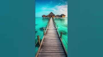 إن الله يدافع عن الذين ءامنوا(تلاوة من سورة الحج )🌿قرآن كريم 🌿القارئ رعد الكردي