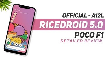 RiceDroid 5.0 Official For Poco F1 - Android 12L - Customization - Detailed Review