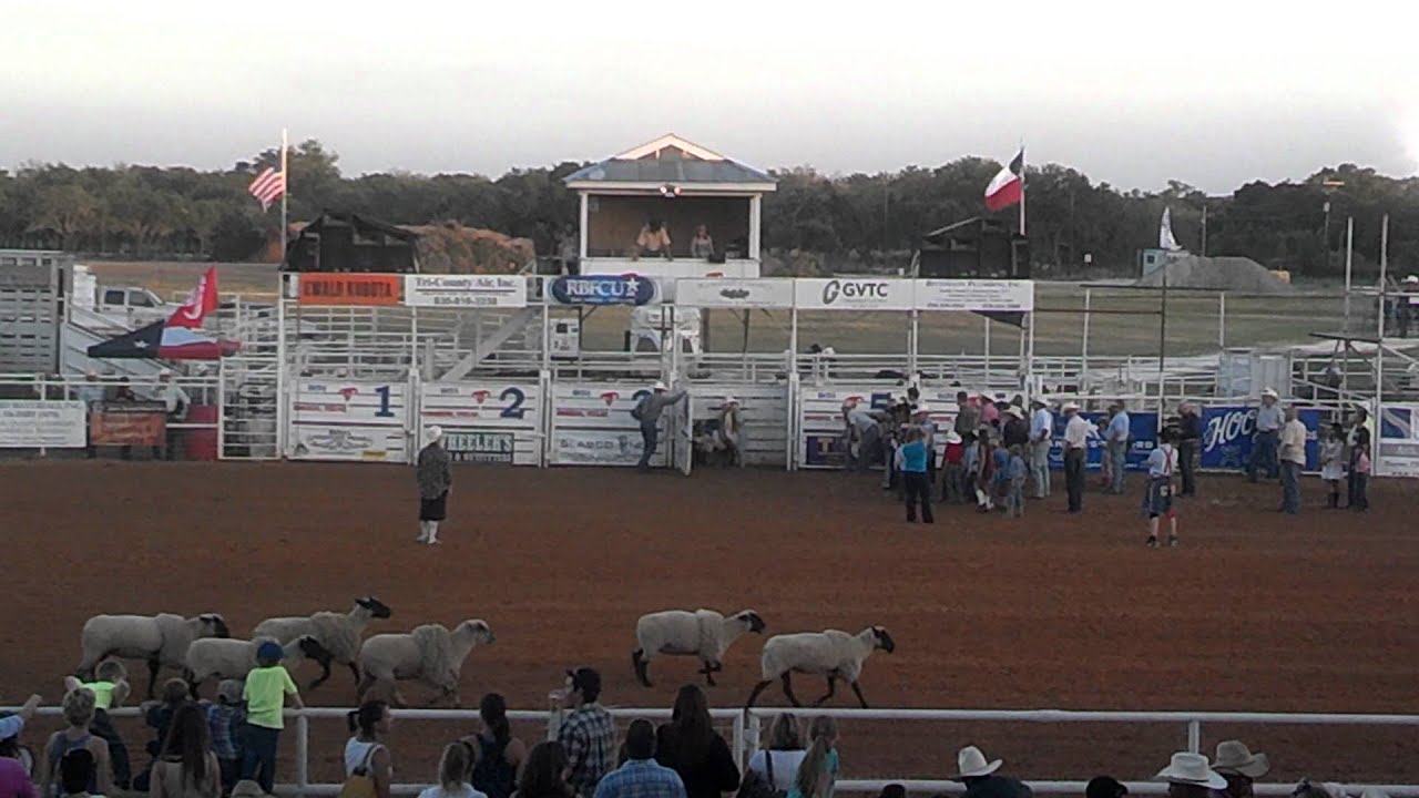 Mutton busting Kendall county rodeo YouTube
