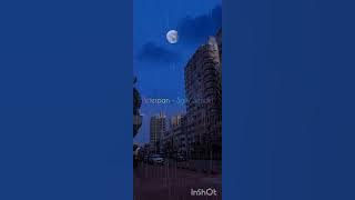 Peterpan - Sally Sendiri ( audio visualizer)