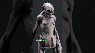 The Newborn A Genetic Anomaly And Its Unique Traits