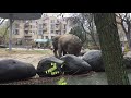 Прогулка по  Киевскому  зоопарку.