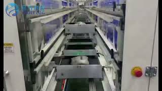 Automated put wall sorting machine