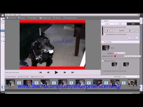 Adobe Photoshop Elements 12 Tutorial Printing, Sharing & Creating Employee Group Training 16.3