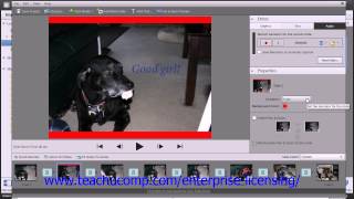 Adobe Photoshop Elements 12 Tutorial Printing, Sharing & Creating Employee Group Training 16.3