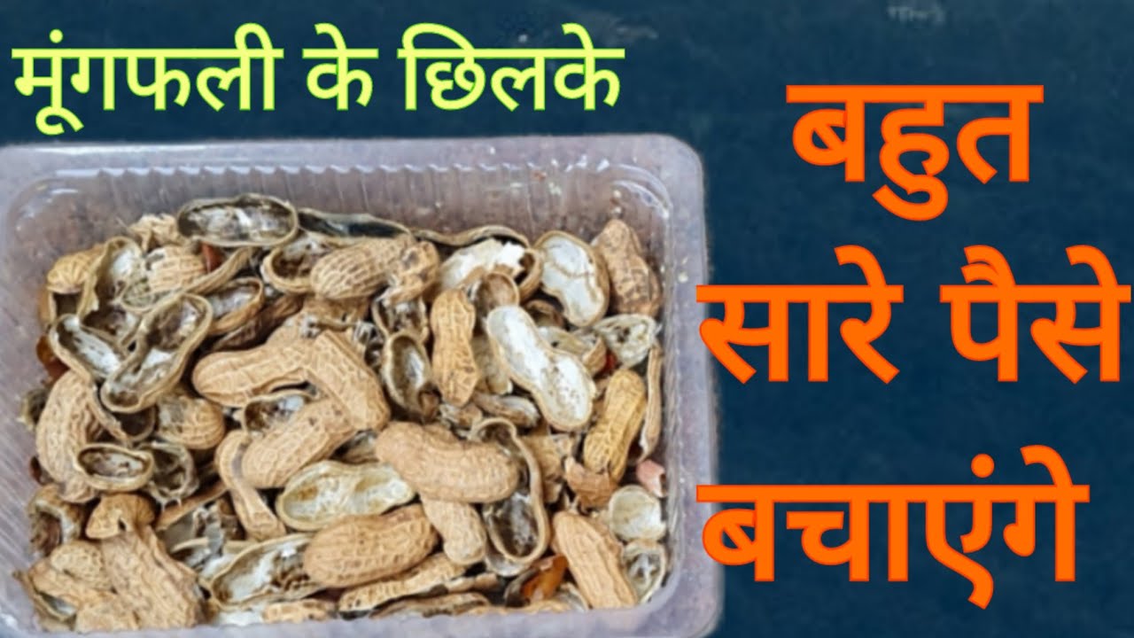 2 उपयोग देख के मूंगफली के छिलके कभी नहीं फेकेंगे Moongfali Chhilke