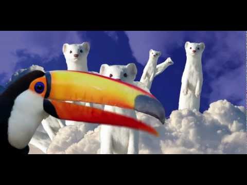 Say goodbye to longcat