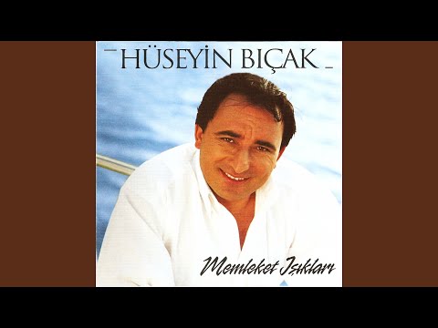 Bir Fındık Dalı