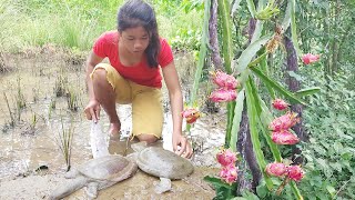 Adventure solo in forest- Found turtle and pick dragon fruit for food in forest