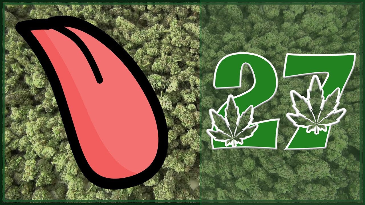 The PotCast Episode 27 Didgeridoo, Didgeridont, Didgerimaybe