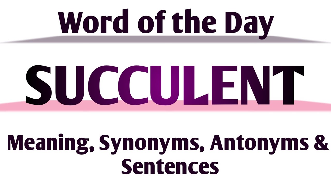 Succulent Meaning in English and Hindi | Succulent Synonyms and Antonyms |  Succulent Sentences