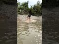 Village Fishermen Catch Huge Fish in Sundarbans Waters! #fishing #reels #fishingdaily #fishingworld