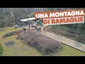Ho CIPPATO le POTATURE