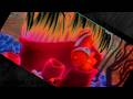 Finding Nemo: Nemo Gets Stuck After Rushing Out! Crying, Sad, G Major 4 &amp; G Major 113 Effects
