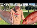 What is Fresh Fish? {Catch Clean Cook} How Long Does Seafood stay Fresh?