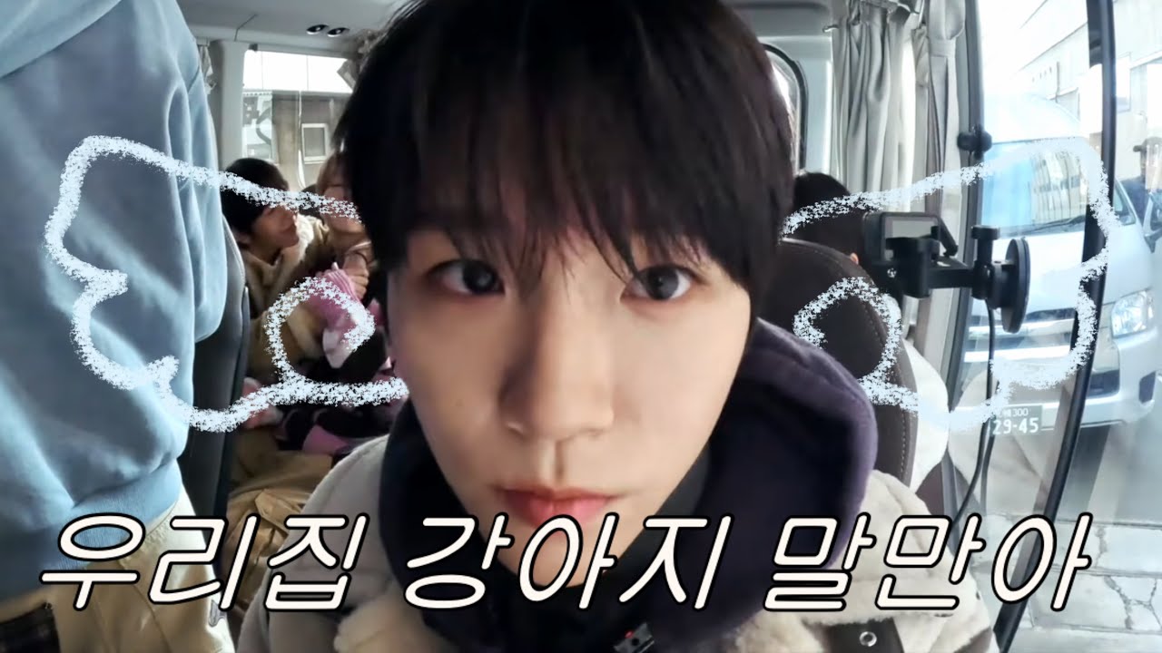 펫캠(말많은강아지)